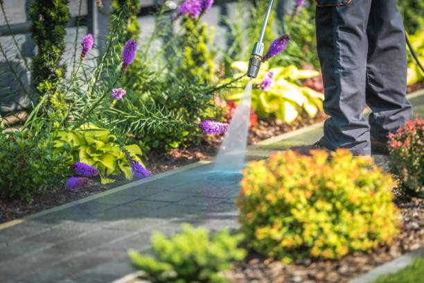 Best Boat and Dock Cleaning  in Wakefield, MI
